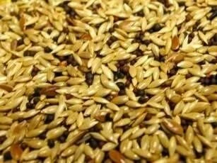 Willsbridge Super Canary Seed Mix 20kg - Image 2