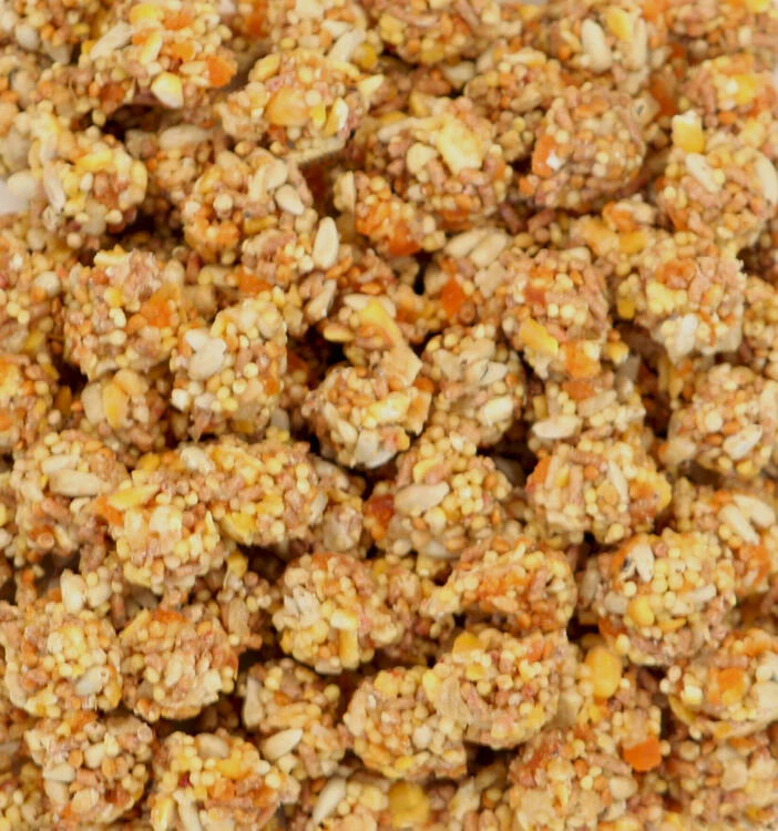 Lafeber's Lafebers Tropical Fruit Nutriberries 284g - Image 2