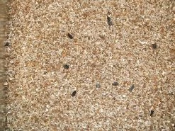 Pettex Mixed Bird Grit Feed 25kg