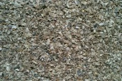 Ostrea Oyster Shell (fine) 25kg