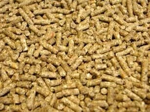 Bocm Pauls Farmgate Poultry Layers Pellets 20kg