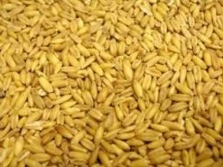 Albert E James Mornflake Oat Groats 25kg