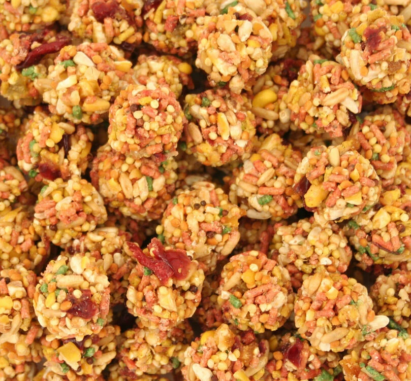 Lafeber's Lafebers Sunny Orchard Nutriberries 284g - Image 2