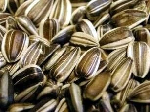 Countrywide Large Striped Sunflower Seed 12.5kg - Image 2