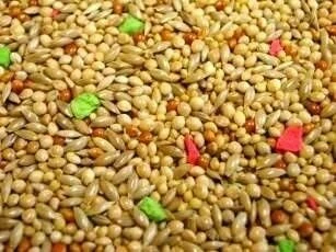Willsbridge Supreme Budgie Seed Mix 20kg - Image 2