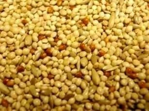 Willsbridge Cage & Aviary Budgie Seed Mix 20kg - Image 2