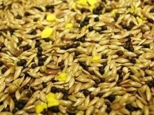 Willsbridge Deluxe Canary Seed Mixture 20kg - Image 2