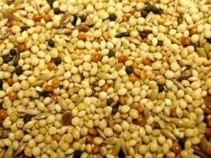 Willsbridge Foreign Finch Mix 20kg - Image 2