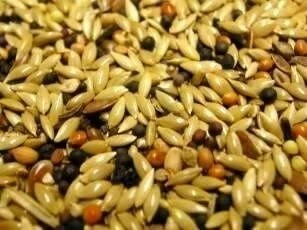 Willsbridge British Finch Mix 20kg - Image 2