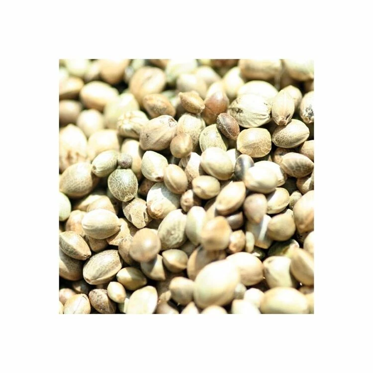 Bucktons Hempseed 15kg - Image 2