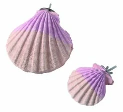 Sky Pet Products Edible Calcium Clam Large Bird Toy