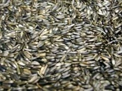 Albert E James Nigerseed 20kg