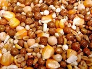 Willsbridge Allrounder Pigeon Mix 20kg - Image 2