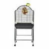 Sky Pet Products Rainforest Brasil II Antique Bird Cage
