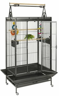 Sky Pet Products Cambridge Antique Bird Parrot Cage