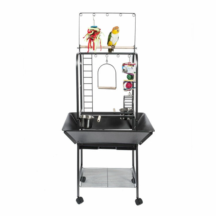Sky Pet Products Forest Jungle Bird Play Stand