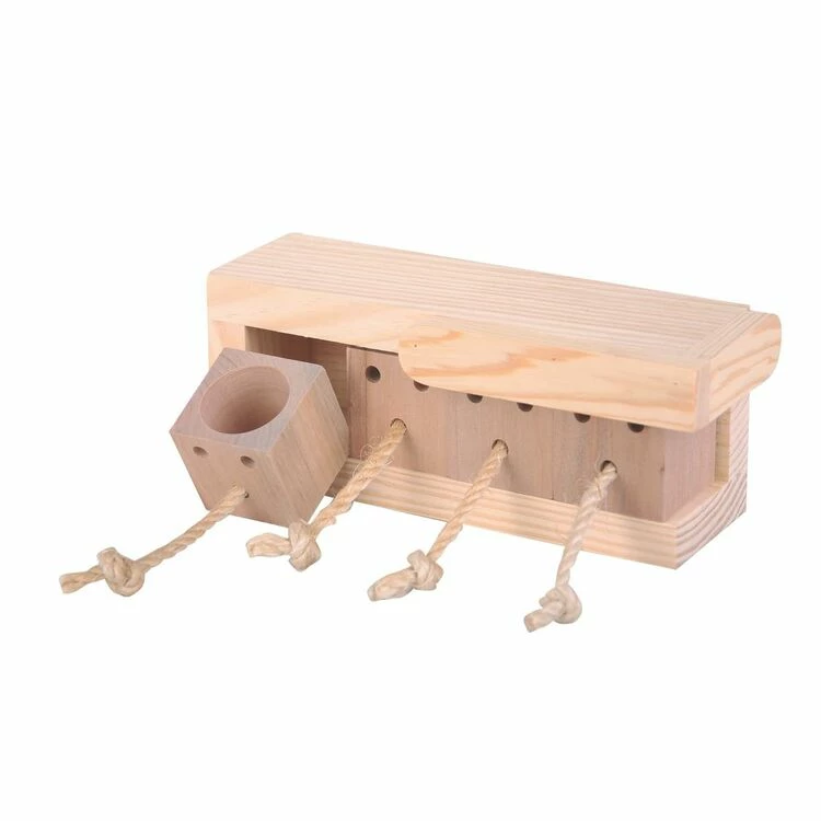 Sky Pet Products Activity Box Bird Foraging Toy