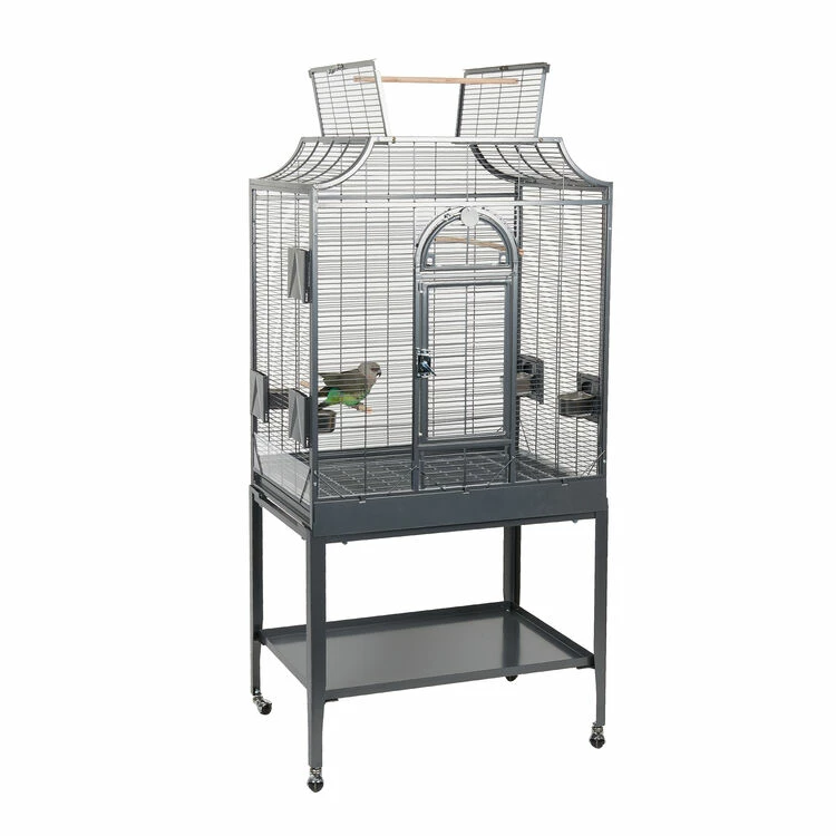 Sky Pet Products Amazona II Bird Cage