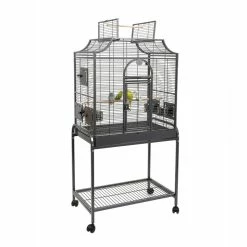 Sky Pet Products Rainforest Amazona I Bird Cage