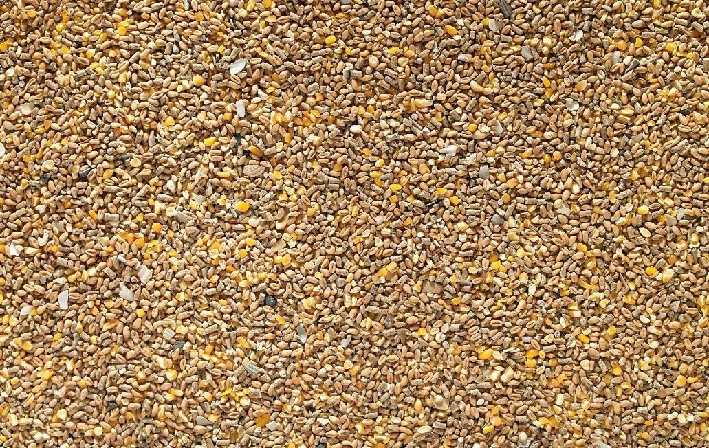 Johnston & Jeff Chicken Corn Extra With Oyster Shell Grit