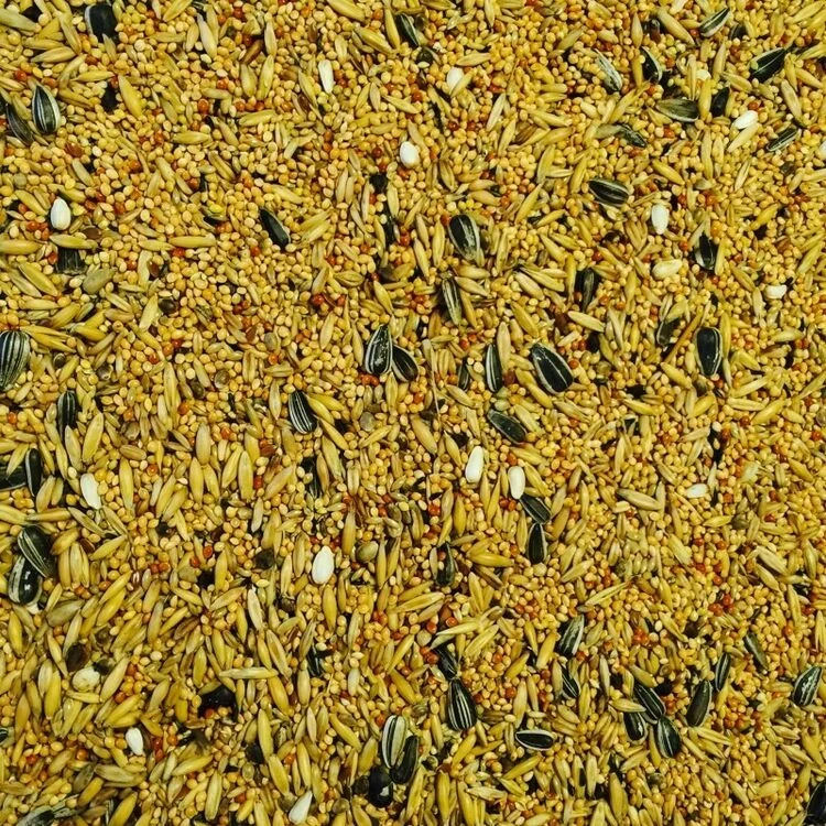 Bucktons Cockatiel & Lovebird Food 20kg - Image 2