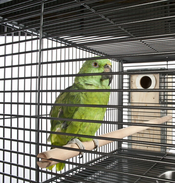 Sky Pet Products Parrot Grande Triple Cage - Image 4