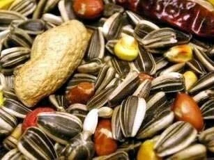 Willsbridge Parrot Mix Bird Food 12.5kg - Image 2