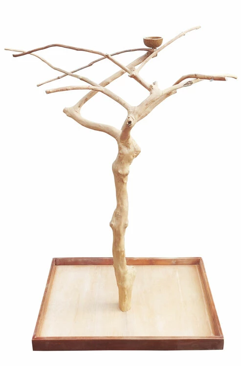 Sky Pet Products Java Midi Tree Bird Toy