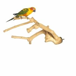 Sky Pet Products Java Multibranch Medium