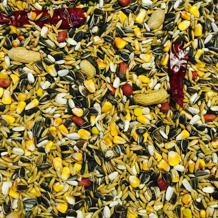 Bucktons No. 1 Parrot Food 12.75kg - Image 2