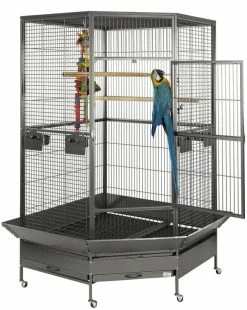 Sky Pet Products Raleigh Antique Corner Bird Cage