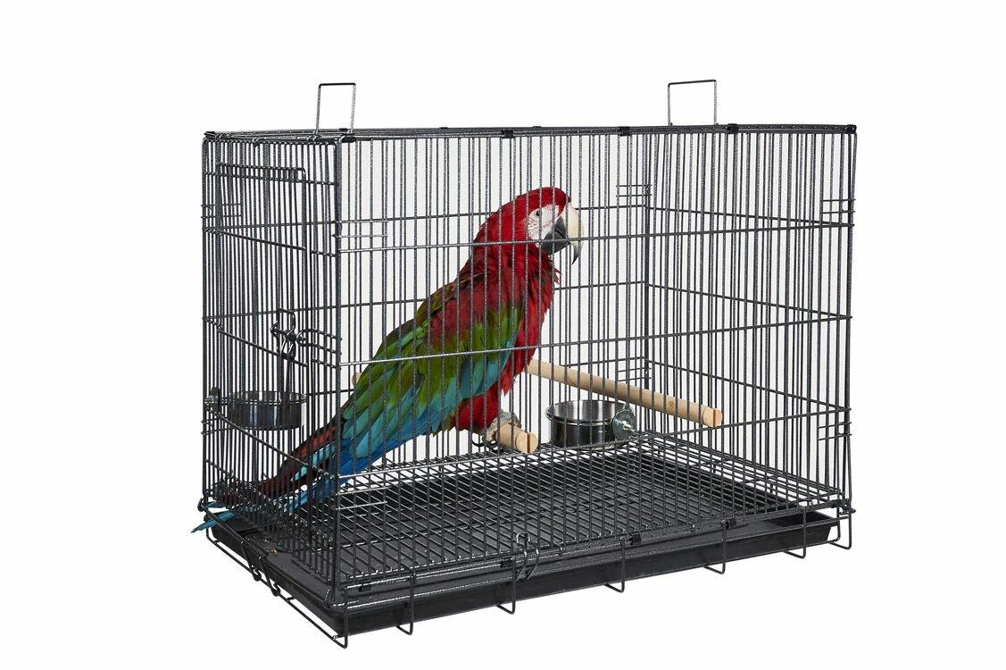 Sky Pet Products Transporter Large